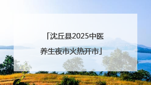 沈丘县2025中医养生夜市火热开市